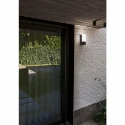 Applique murale d'extérieur Lutec POLLUX LED Anthracite, 1 lumière, Détecteur de mouvement