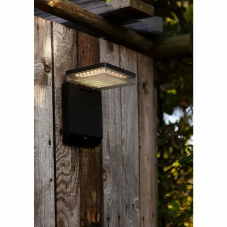 Applique murale d'extérieur Lutec MOZE LED Noir, 1 lumière, Détecteur de mouvement