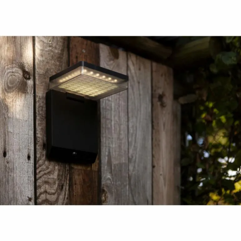 Applique murale d'extérieur Lutec MOZE LED Noir, 1 lumière, Détecteur de mouvement