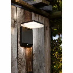 Applique murale d'extérieur Lutec MOZE LED Noir, 1 lumière, Détecteur de mouvement