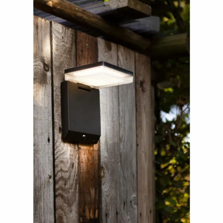 Applique murale d'extérieur Lutec MOZE LED Noir, 1 lumière, Détecteur de mouvement
