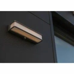 Applique murale d'extérieur Lutec DOBLO LED Anthracite, 1 lumière, Détecteur de mouvement