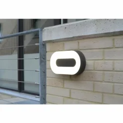 Applique murale d'extérieur Felsted LED Argenté, 1 lumière