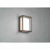 Applique murale d'extérieur Trio Witham LED Anthracite, 1 lumière