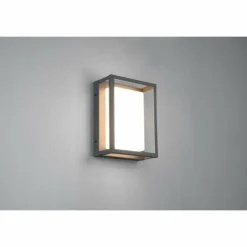 Applique murale d'extérieur Trio Witham LED Anthracite, 1 lumière