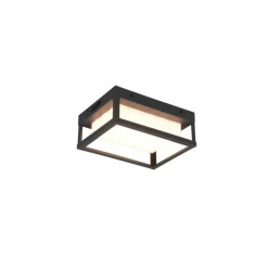 Applique murale d'extérieur Trio Witham LED Anthracite, 1 lumière