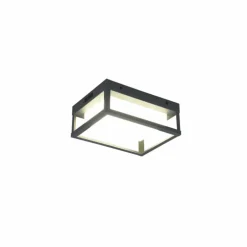 Applique murale d'extérieur Trio Witham LED Anthracite, 1 lumière