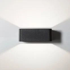 Applique murale d'extérieur Brilliant Golda LED Noir, 1 lumière