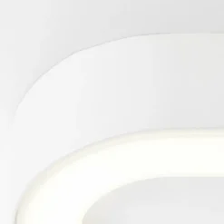 Applique murale d'extérieur Brilliant Whittaker LED Blanc, 1 lumière