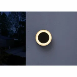 Applique murale d'extérieur LEDVANCE ENDURA® Gris, 1 lumière