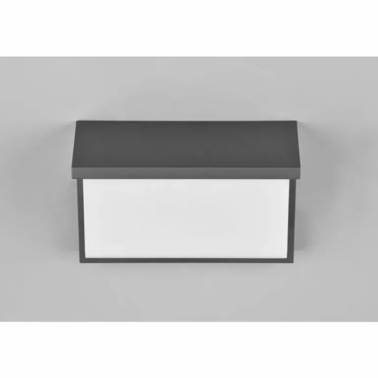 Applique murale d'extérieur Trio Nestos LED Anthracite, 1 lumière