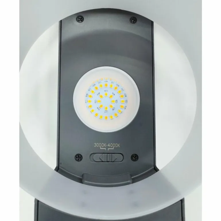 Applique murale d'extérieur Lutec Moon LED Anthracite, 1 lumière