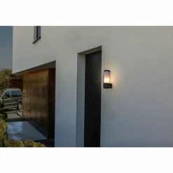 Applique murale d'extérieur Lutec Heros Anthracite, 1 lumière