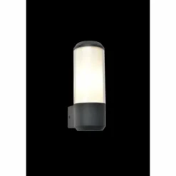 Applique murale d'extérieur Lutec Heros Anthracite, 1 lumière