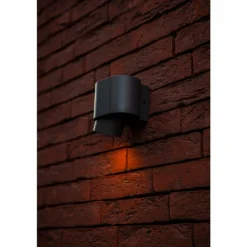 Applique murale d'extérieur Lutec Cypres Anthracite, 1 lumière