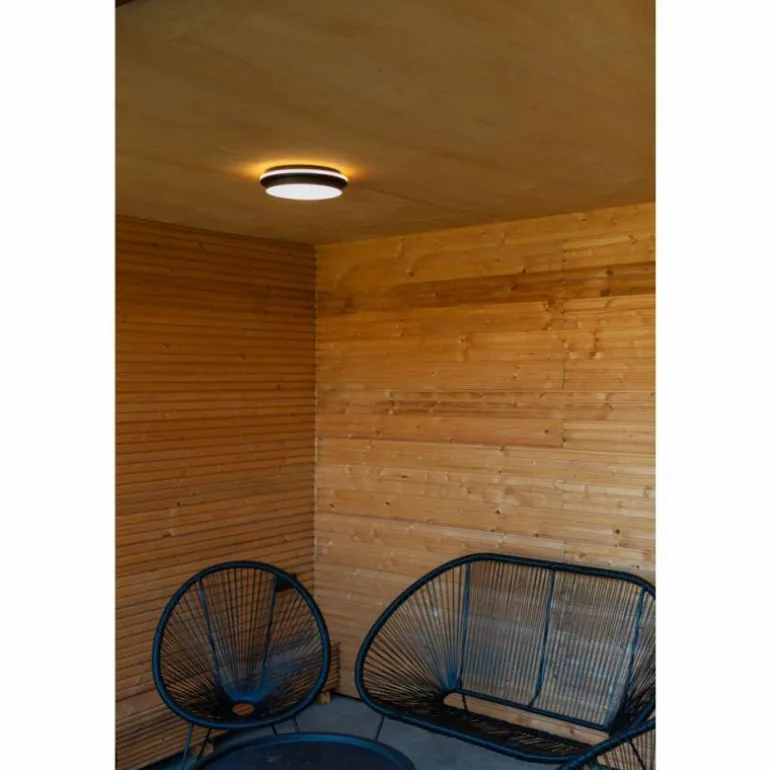 Applique murale d'extérieur Lutec Goleta LED Noir, 1 lumière