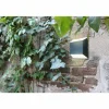 Applique murale d'extérieur Lutec Flyod LED Anthracite, 1 lumière