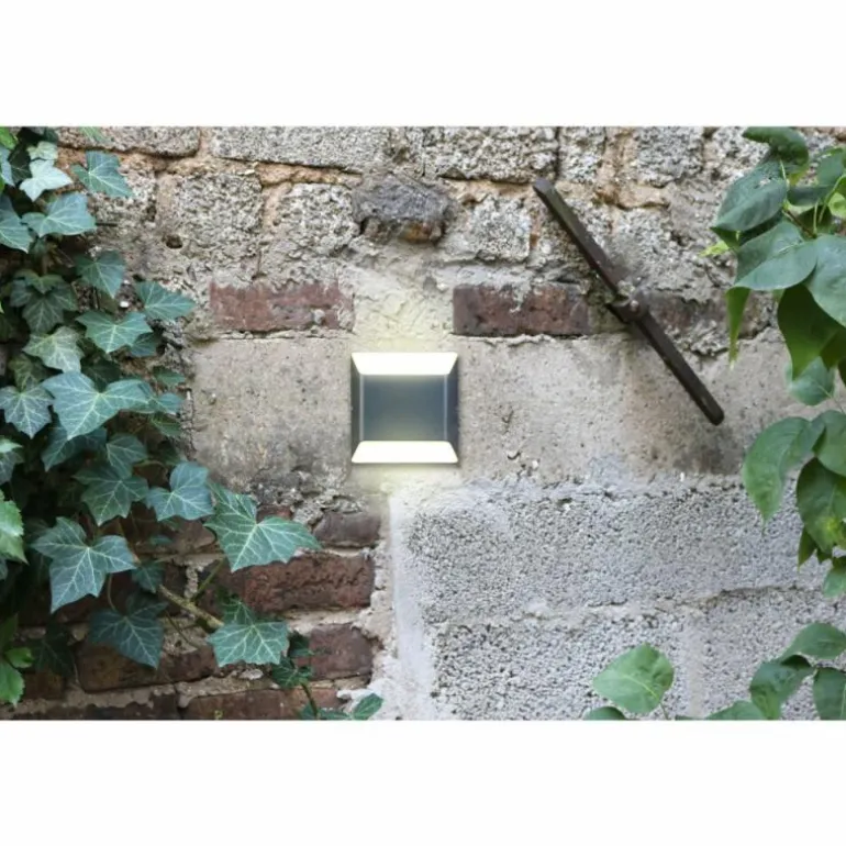 Applique murale d'extérieur Lutec Flyod LED Anthracite, 1 lumière