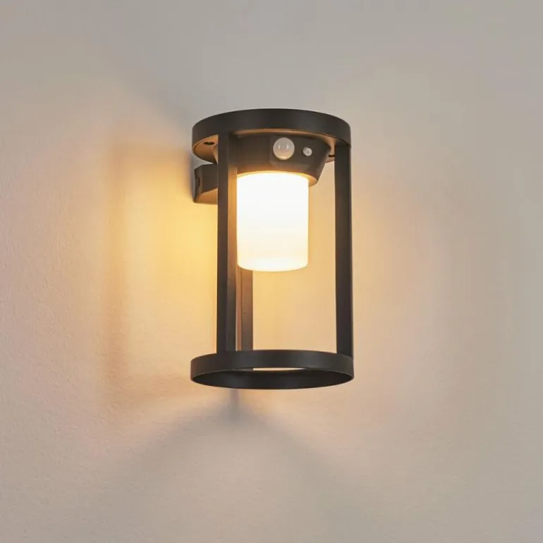 Applique murale d'extérieur Lokpano LED Noir, 1 lumière, Détecteur de mouvement, Changeur de couleurs