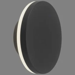 Applique murale d'extérieur Paul Neuhaus PUNTUA LED Anthracite, 1 lumière