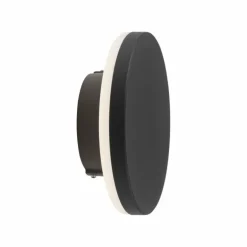 Applique murale d'extérieur Paul Neuhaus PUNTUA LED Anthracite, 1 lumière