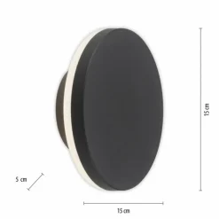 Applique murale d'extérieur Paul Neuhaus PUNTUA LED Anthracite, 1 lumière