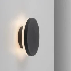 Applique murale d'extérieur Paul Neuhaus PUNTUA LED Anthracite, 1 lumière