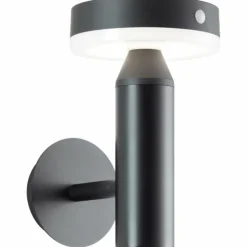 Applique murale d'extérieur Brilliant Magua LED Noir, 1 lumière