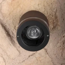 Applique murale d'extérieur LUTEC FOCUS Anthracite, 1 lumière