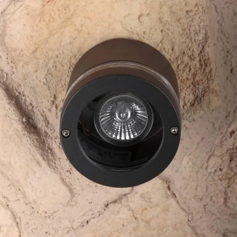 Applique murale d'extérieur LUTEC FOCUS Anthracite, 1 lumière