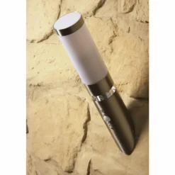 Applique murale d'extérieur Brilliant Bole Acier inoxydable, 1 lumière, Détecteur de mouvement