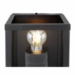 Luminaires Globo Lighting Appliques|Applique murale Globo HAGAR Noir, 1 lumière