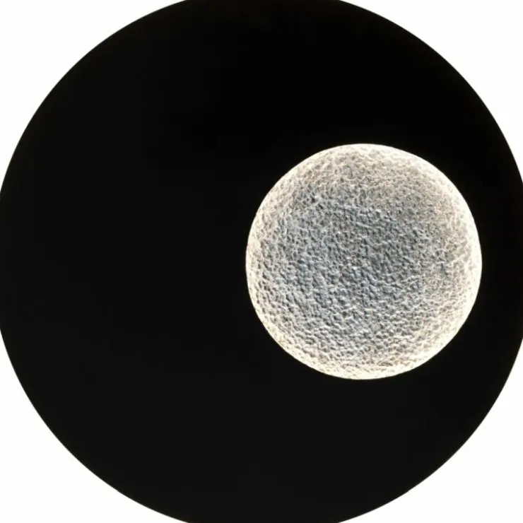Luminaires Holländer Appliques|Applique murale Holländer LUNA RUND GROSS LED Brun, Noir, Argenté, 1 lumière