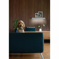 Luminaires Ledvance Éclairage Led|Applique murale LEDVANCE LINEAR SHELF Blanc, 1 lumière