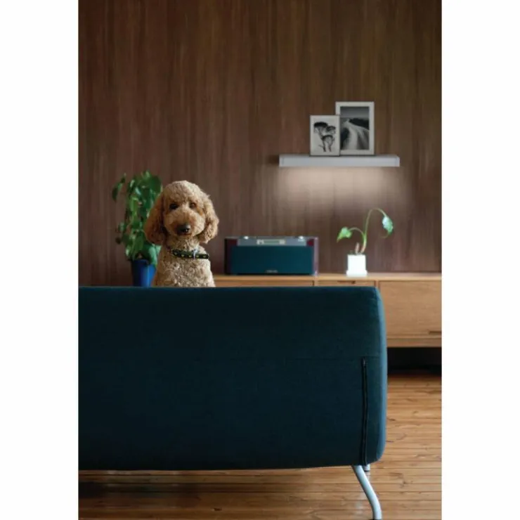 Luminaires Ledvance Éclairage Led|Applique murale LEDVANCE LINEAR SHELF Blanc, 1 lumière