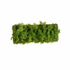 Luminaires Leuchten Direkt Éclairage Led|Applique murale Leuchten-Direkt GREEN CARLO LED Argenté, 6 lumières