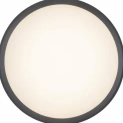 Applique murale Lutec Rola LED Anthracite, 1 lumière