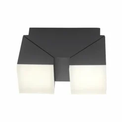 Applique murale Paul Neuhaus RYAN LED Anthracite, 2 lumières