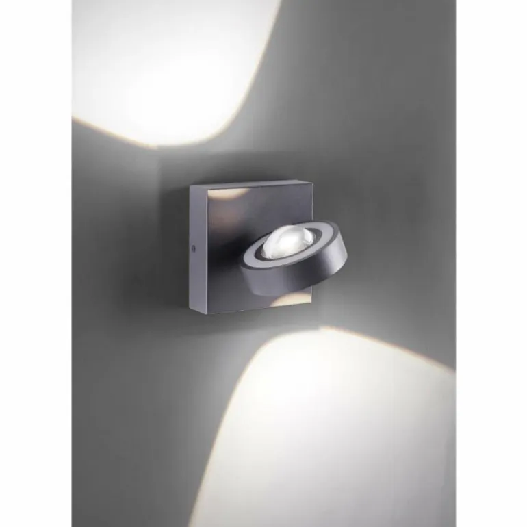 Applique murale Paul Neuhaus Q-MIA LED Anthracite, 2 lumières, Télécommandes