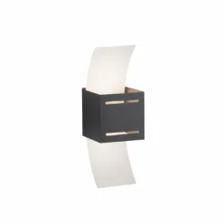 Luminaires Paul Neuhaus Appliques|Applique murale Paul Neuhaus ORMA Anthracite, 1 lumière