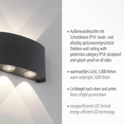 Applique murale Paul Neuhaus CARLO LED Anthracite, 4 lumières