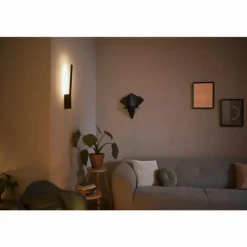 Applique murale Philips Hue White & Color Ambiance Liane LED Noir, 1 lumière, Changeur de couleurs