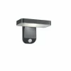 Applique murale Reality Esquel LED Anthracite, 1 lumière, Détecteur de mouvement