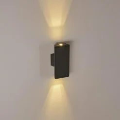 Applique murale Roseau LED Anthracite, 1 lumière