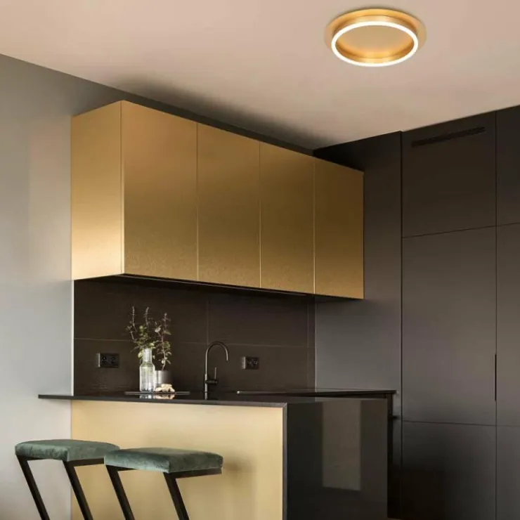 Luminaires Steinhauer Éclairage Led|Applique murale Steinhauer Ringlux LED, 1 lumière