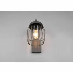Applique murale Trio-Leuchten Tuela Anthracite, 1 lumière
