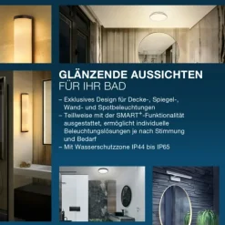 Luminaires Ledvance Éclairage Led|BATHROOM Luminaire de salle de bain LED Argenté, 1 lumière, Détecteur de mouvement