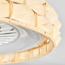 Benasal Plafonnier, Ventilateur de plafond lumineux LED Blanc, 1 lumière, Télécommandes