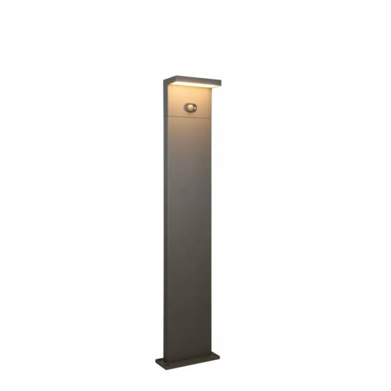 Blyde Lampadaire d'extérieur Luminaires Trio LED Anthracite, 1 lumière, Détecteur de mouvement