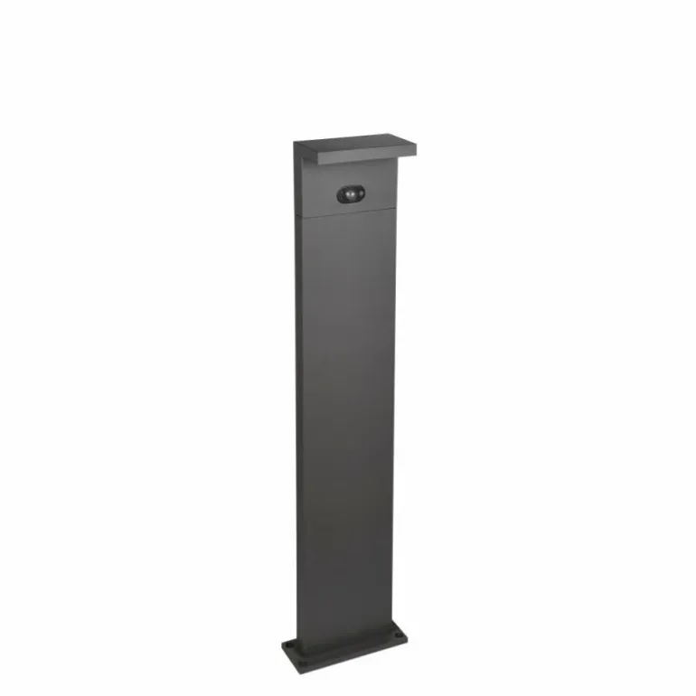 Blyde Lampadaire d'extérieur Luminaires Trio LED Anthracite, 1 lumière, Détecteur de mouvement